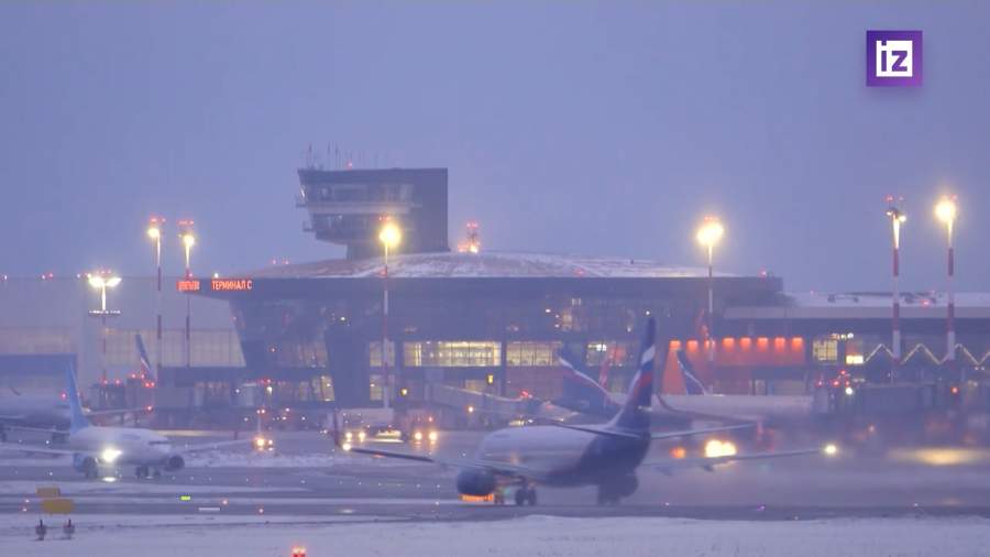 Потенциальных авиадебоширов будут выявлять до посадки на рейс