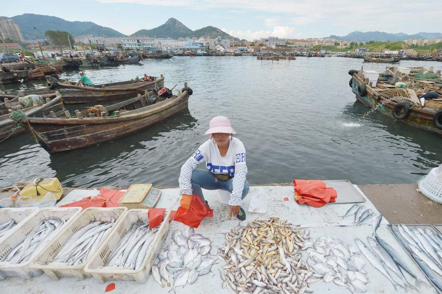 женщина продает рыбу на причале