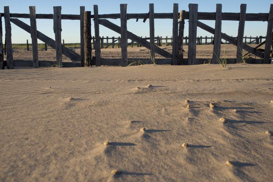 Пескозаградительные сооружения пустыню не сдерживают