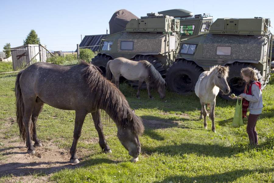 Якутские лошади