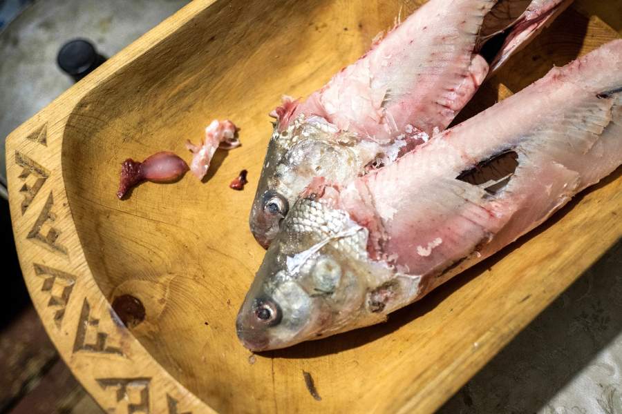 Повседневная жизнь чумработниц в ЯНАО