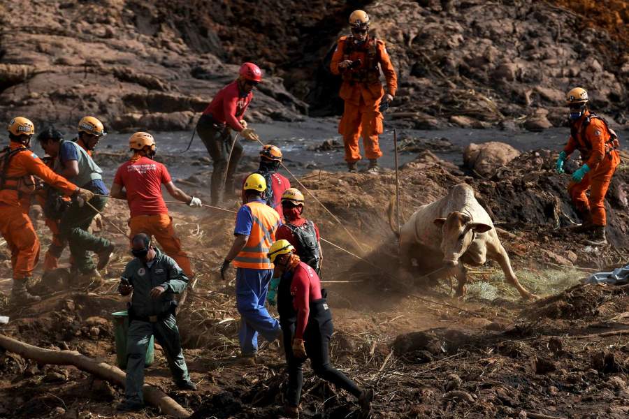 Последствия прорыва дамбы в Бразилии