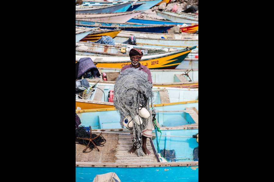 Остров Сокотра