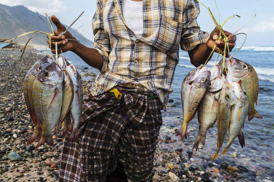 Остров Сокотра