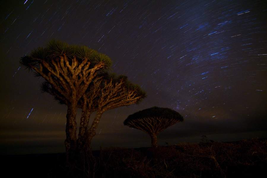 Остров Сокотра