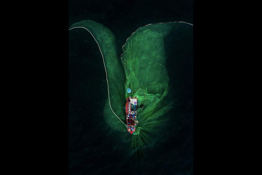 Победители National Awards конкурса Sony World Photography Awards