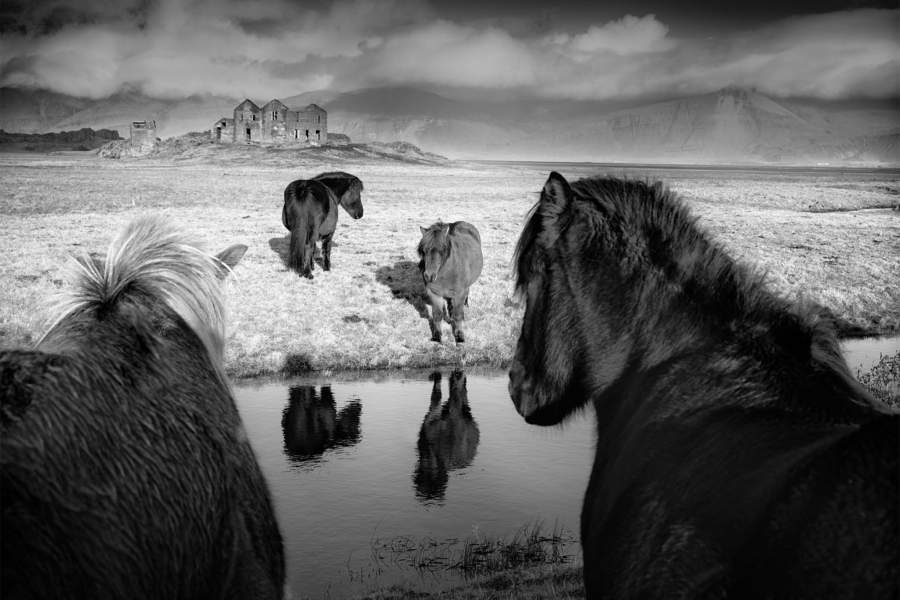 Победители National Awards конкурса Sony World Photography Awards