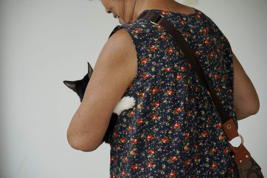 Акупунктура для животных в Китае