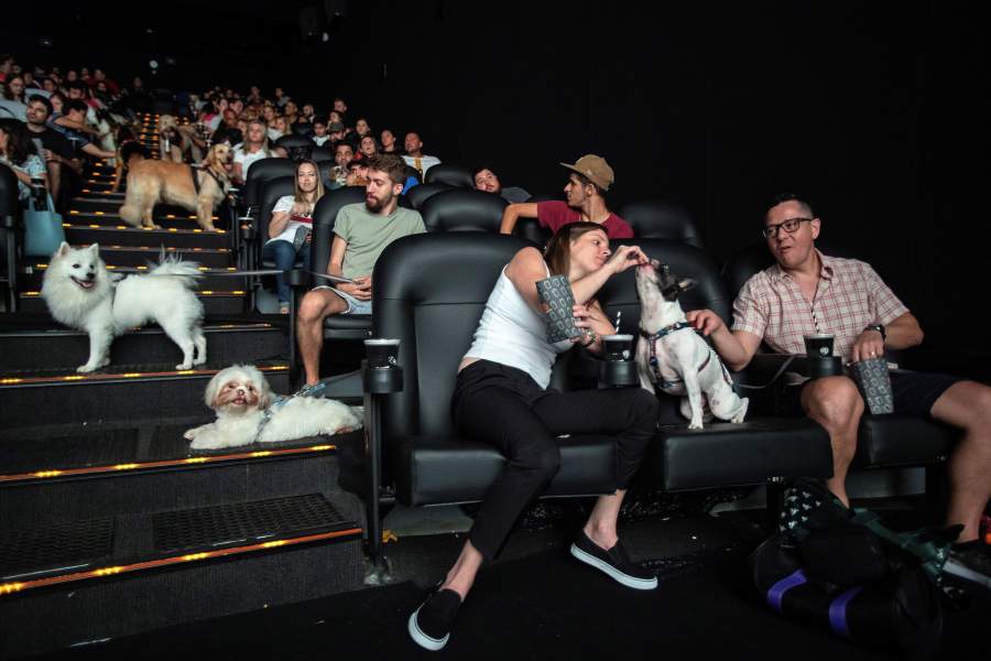 Самые необычные кинотеатры