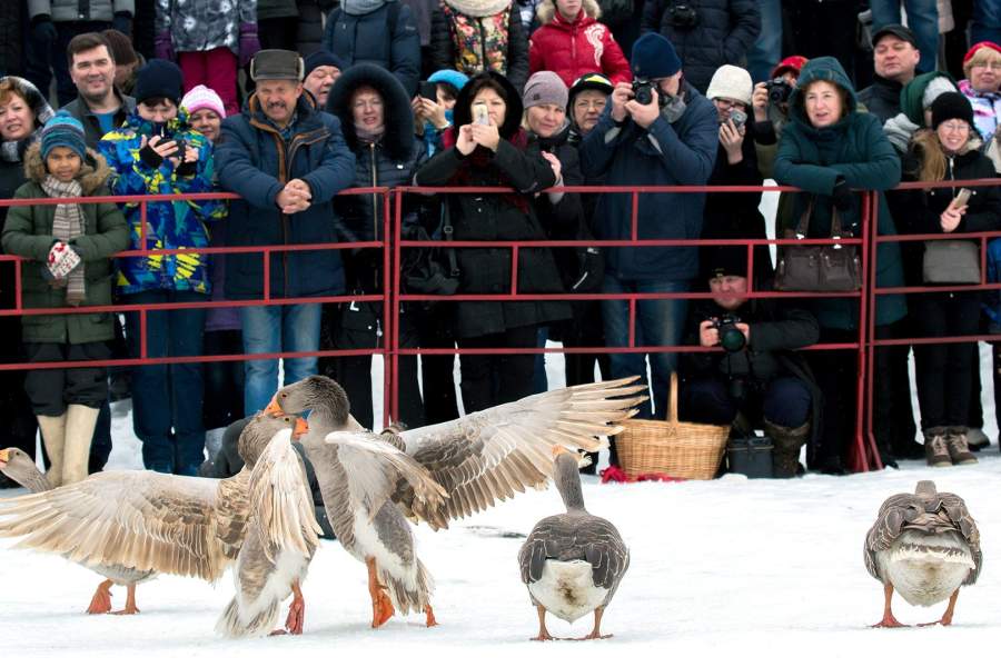 Масленица 2019