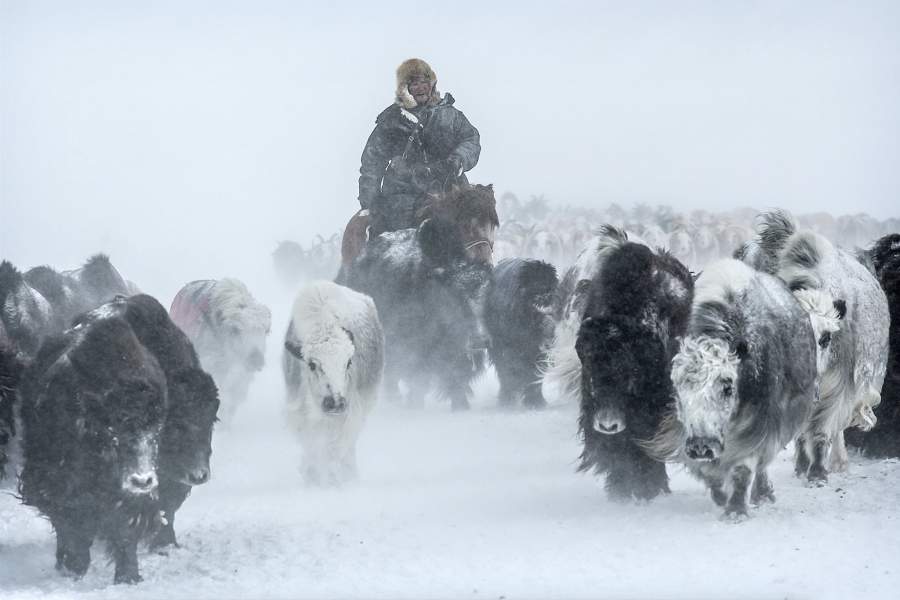 Кочевники в Монголии