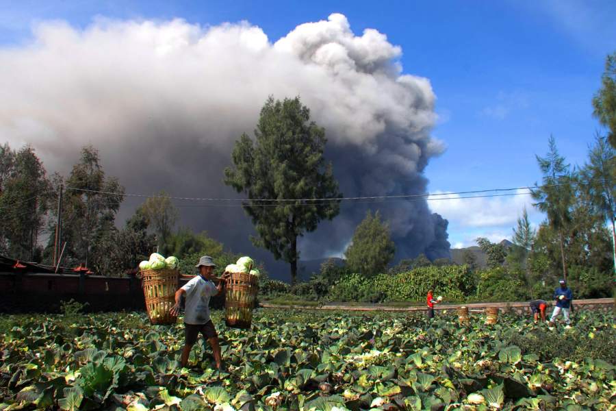 Жизнь у вулкана Бромо