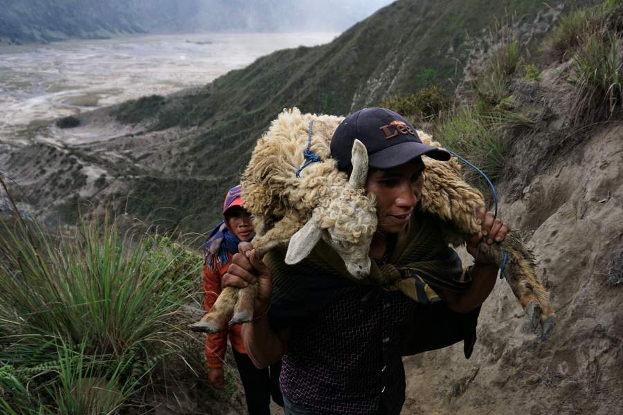 Жизнь у вулкана Бромо