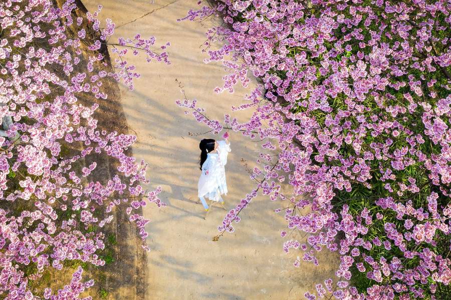 Весеннее цветение