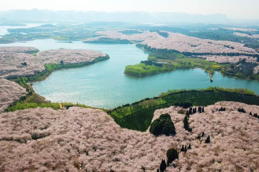 Весеннее цветение