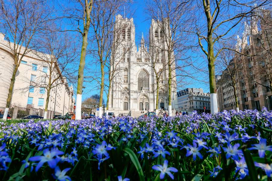 Весеннее цветение