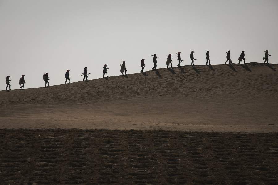 Борьба с опустыниванием в Китае