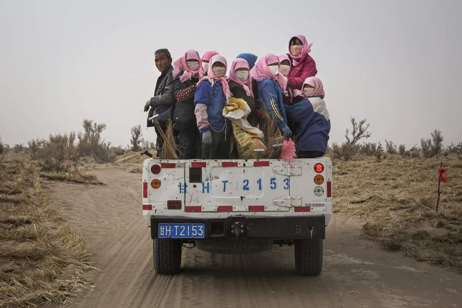 Борьба с опустыниванием в Китае