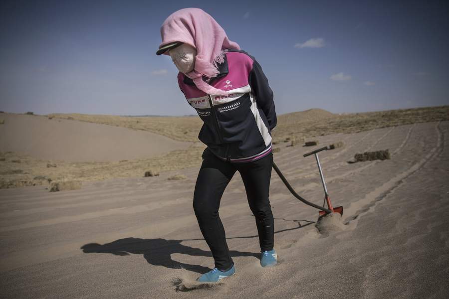 Борьба с опустыниванием в Китае