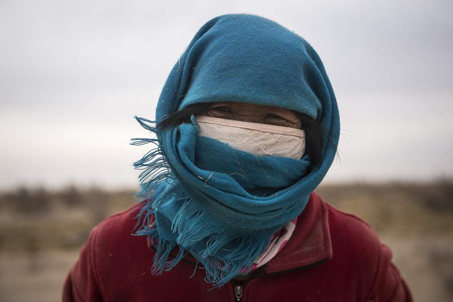 Борьба с опустыниванием в Китае