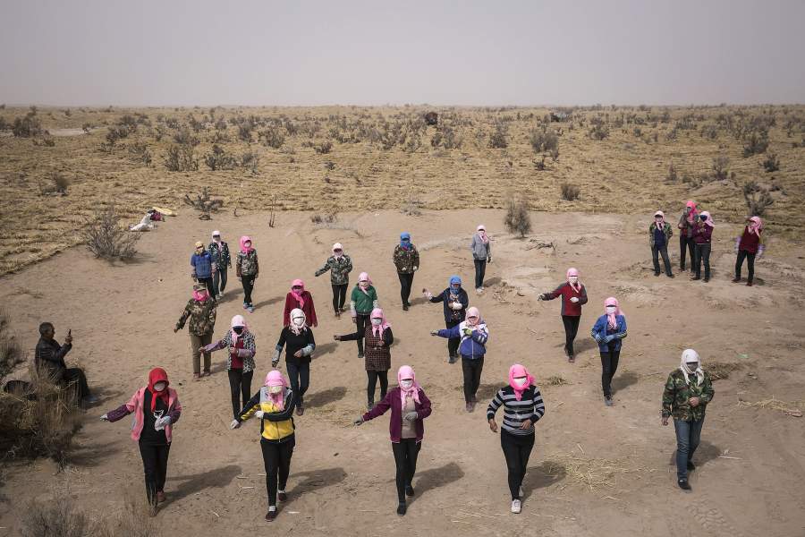 Борьба с опустыниванием в Китае