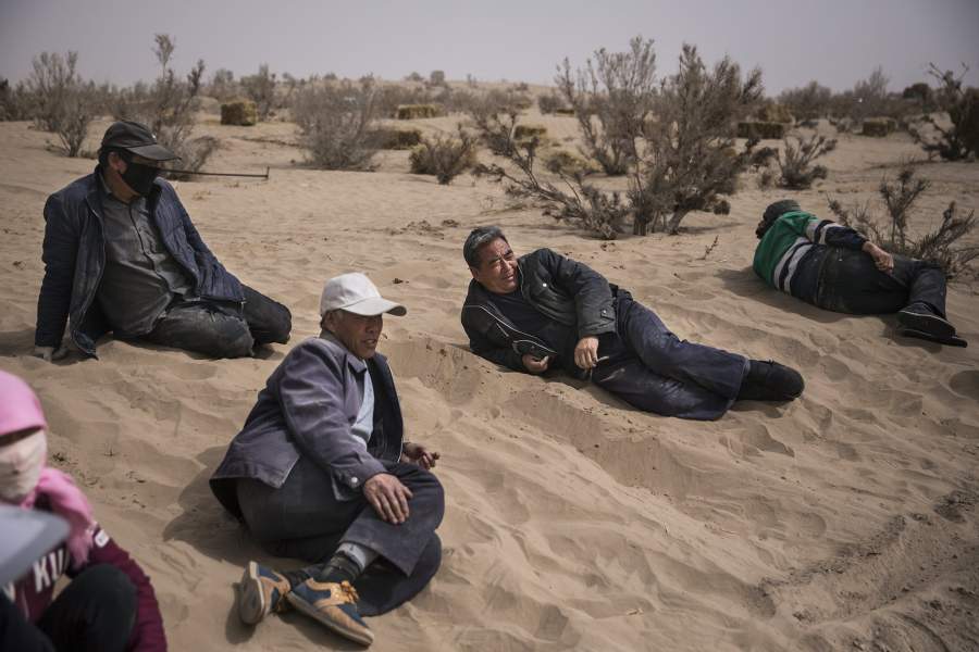 Борьба с опустыниванием в Китае