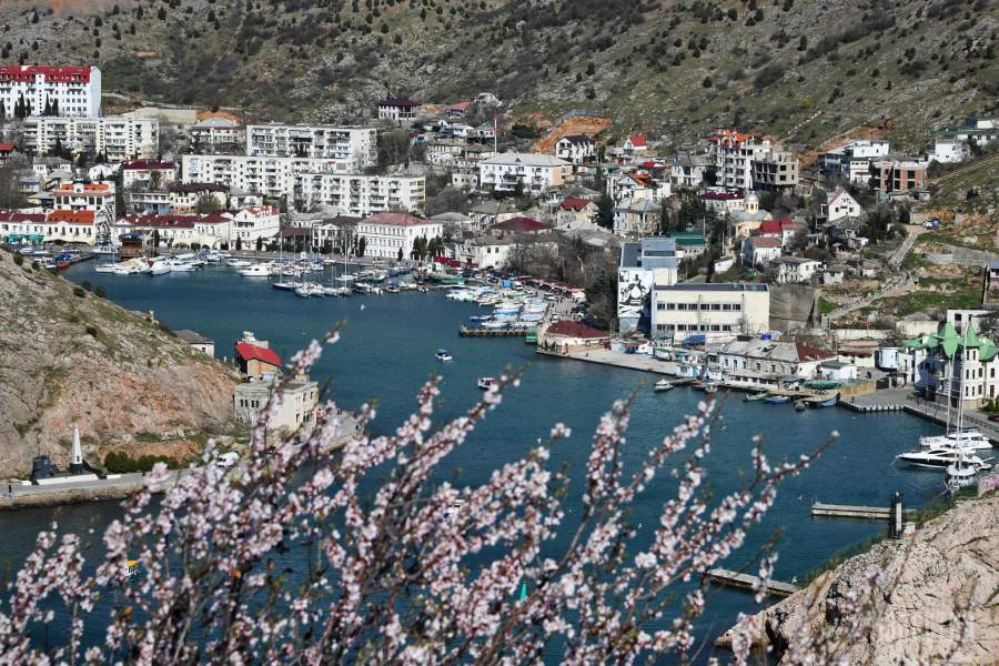 Цветущий миндаль и вид на Балаклавскую бухту в Крыму