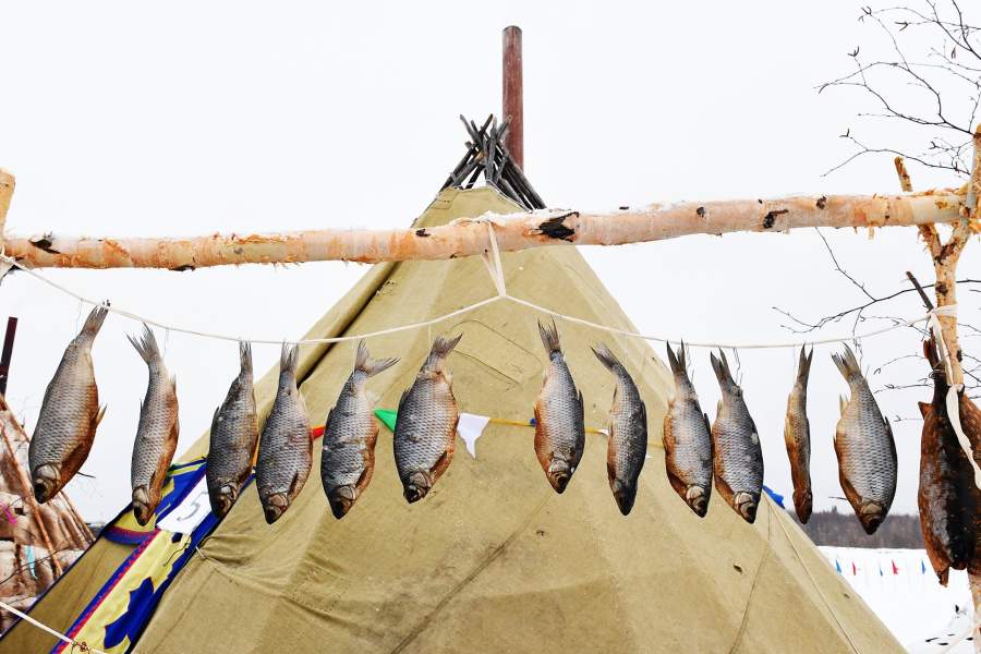 День оленевода в Надыме