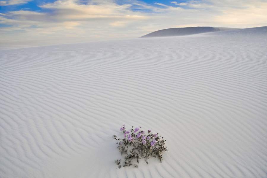 Фарфоровая пустыня