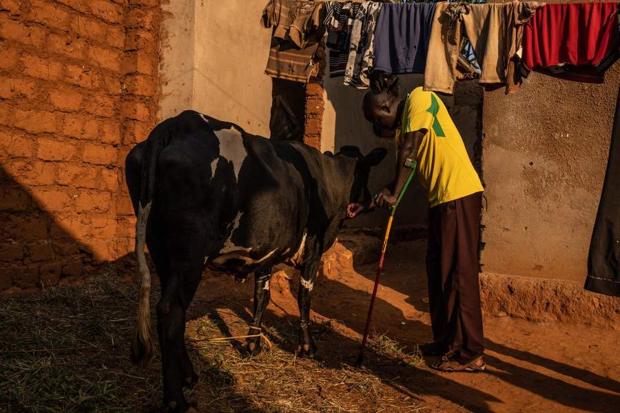 Деревни примирения в Руанде