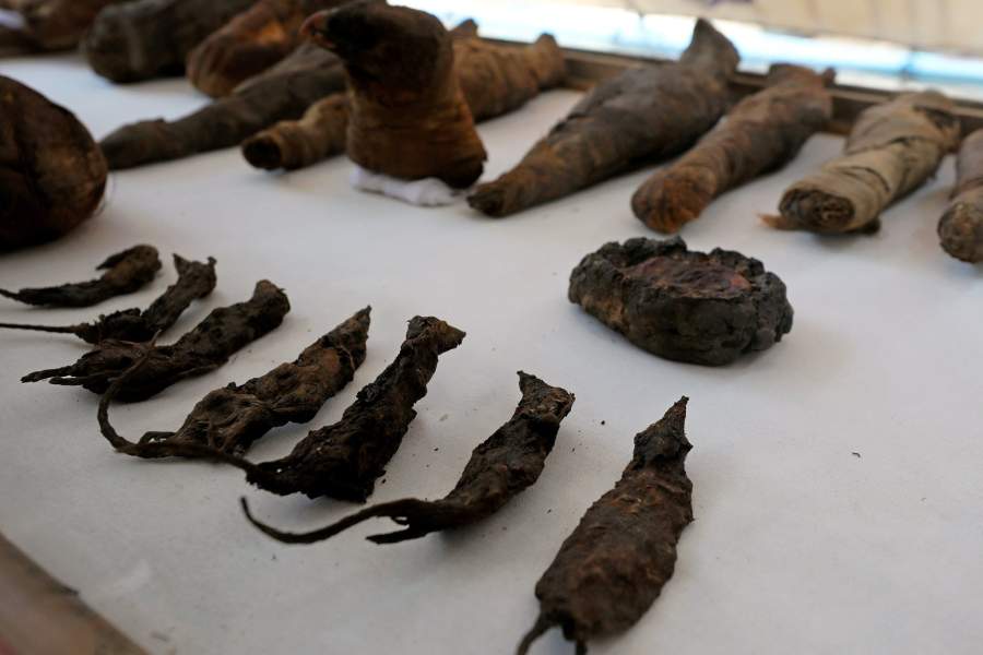 Раскопки в Египте