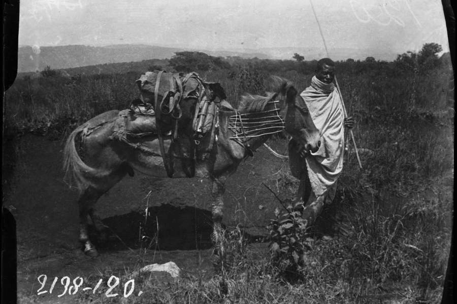 Экспедиция Николая Гумилева в Абиссинию