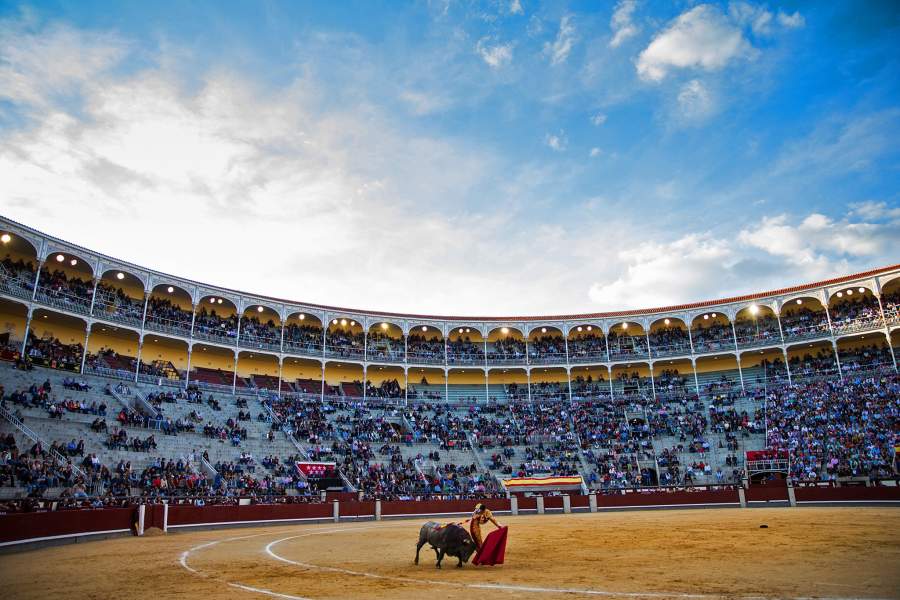 Сезон корриды в Испании