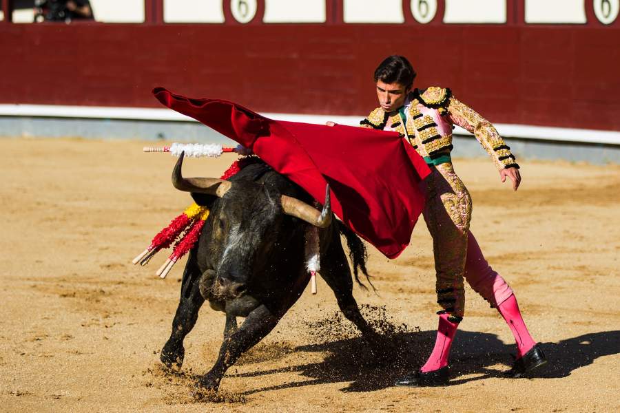 Сезон корриды в Испании