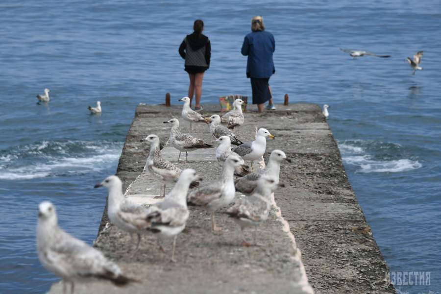 Жители Алушты на набережной города