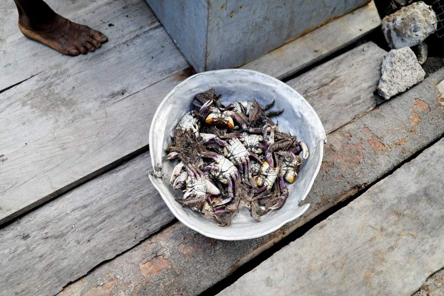 По его словам, четыре или пять дюжин, которые он получает за день, принесут Крузу около 200 реалов (50 долларов) в неделю