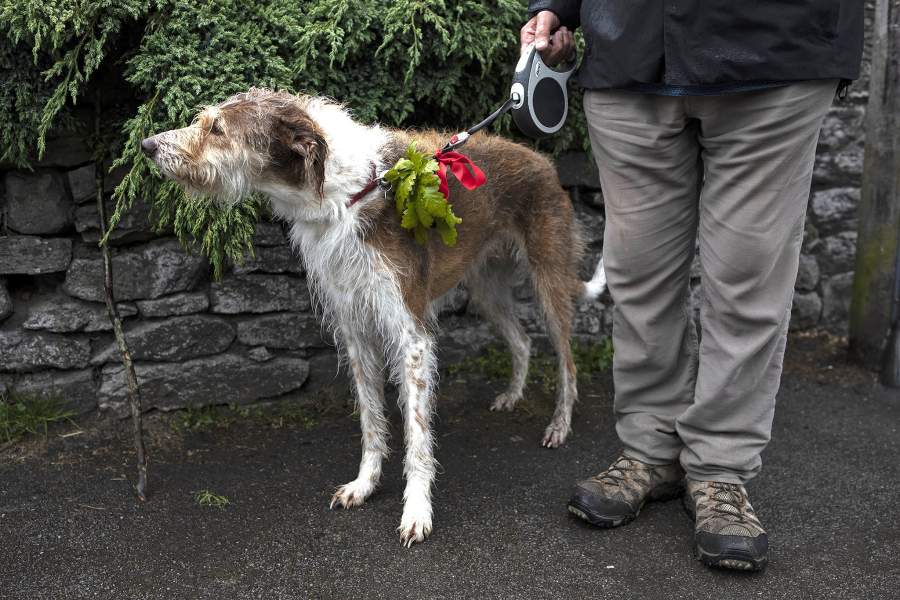 День венков в Англии город Каслтон