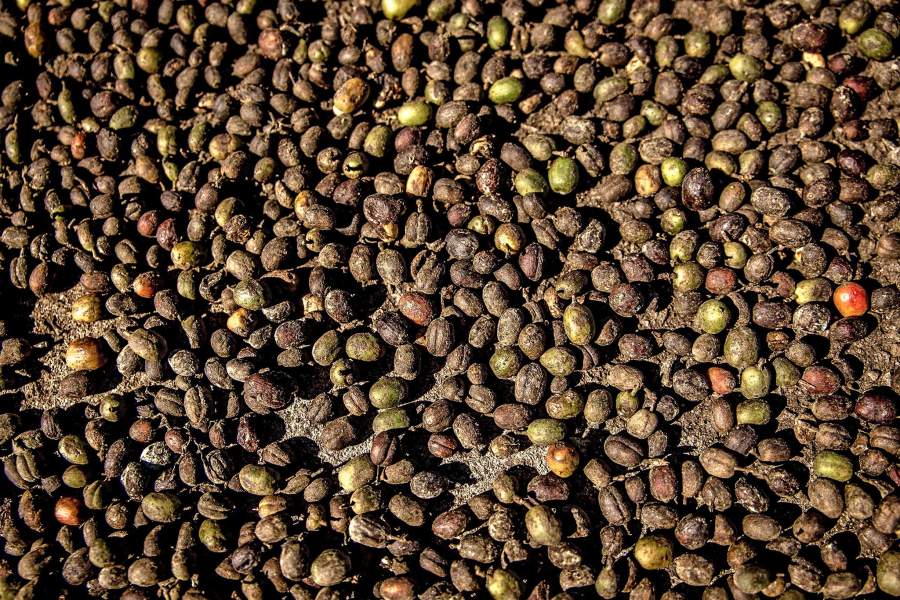 Кофейные зерна