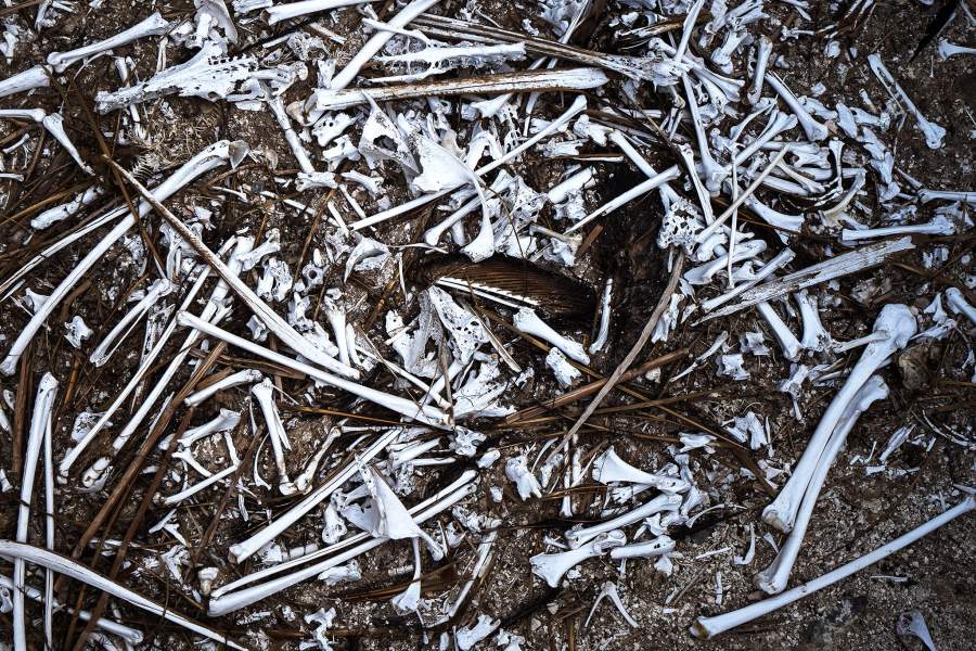 Разлом Сан-Андреас в Калифорнии