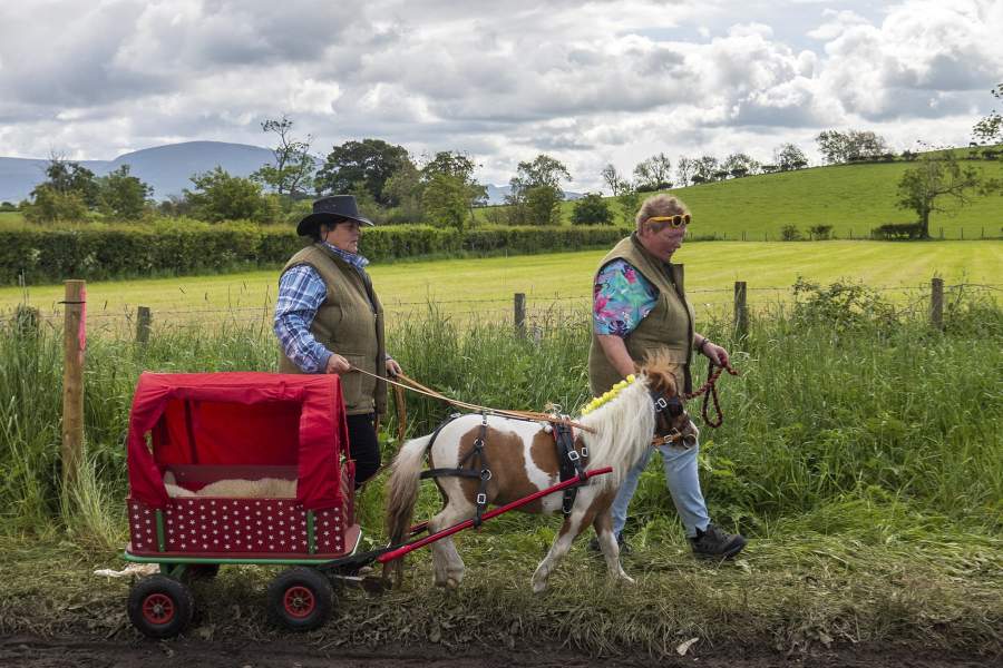 Конная ярмарка Эпплби
