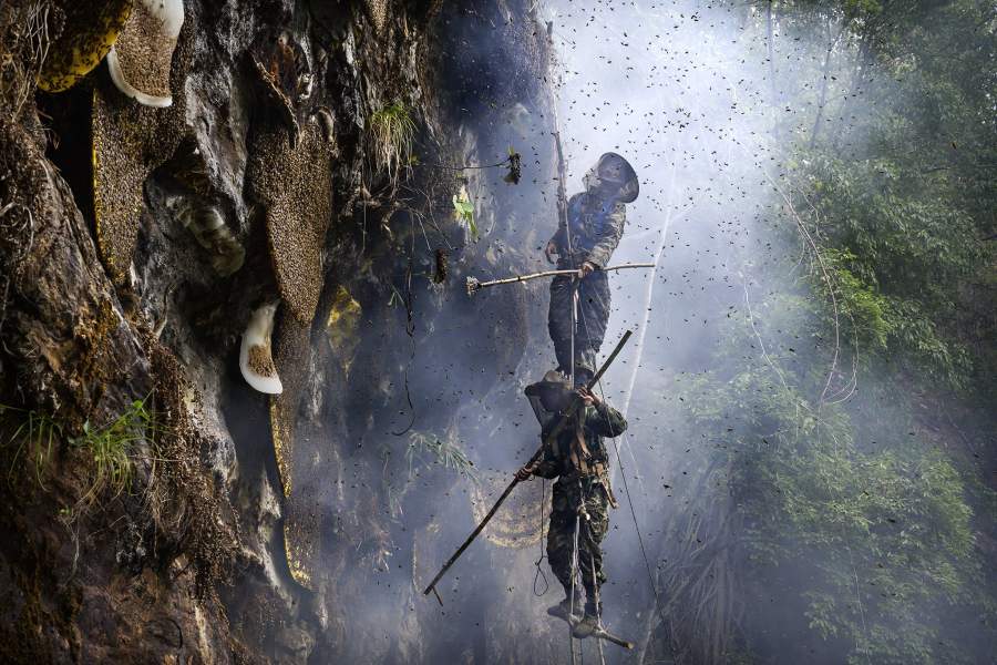 Охотники за диким медом в Китае