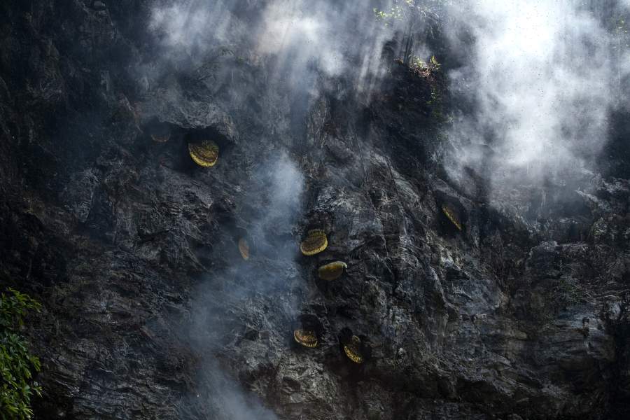 Дикий мед в Китае