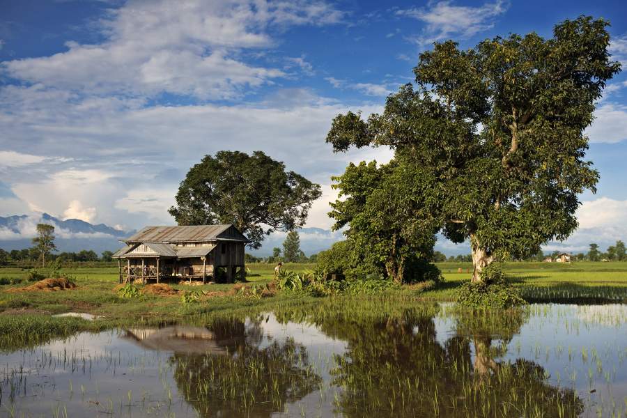 Национальный парк Читван в Непале