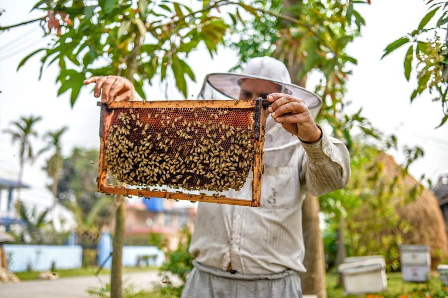 Национальный парк Читван в Непале