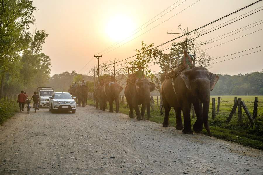 Национальный парк Читван в Непале