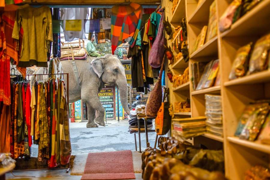 Национальный парк Читван в Непале