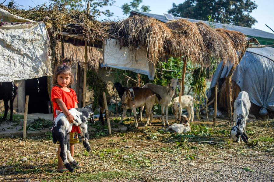 Национальный парк Читван в Непале