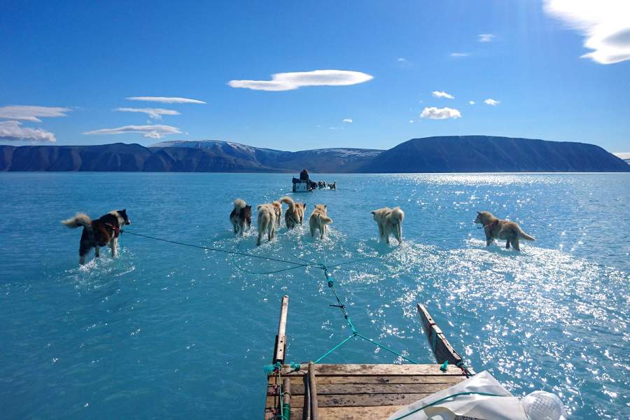 Гренландия