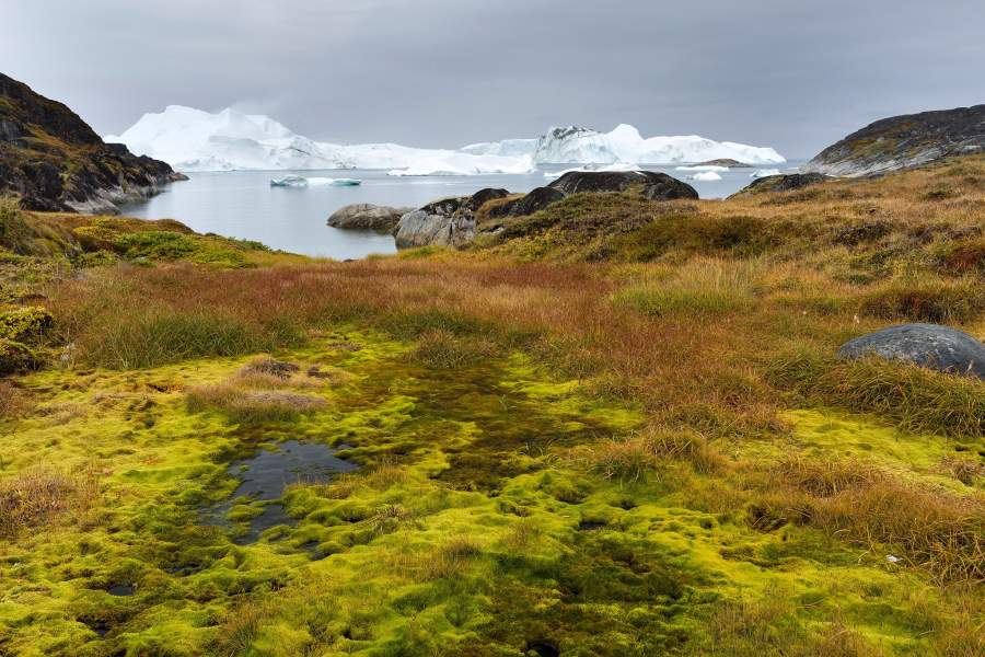 Гренландия