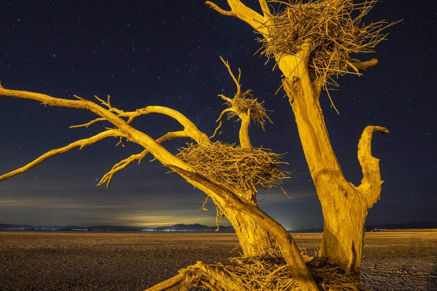 Разлом Сан-Андреас в Калифорнии